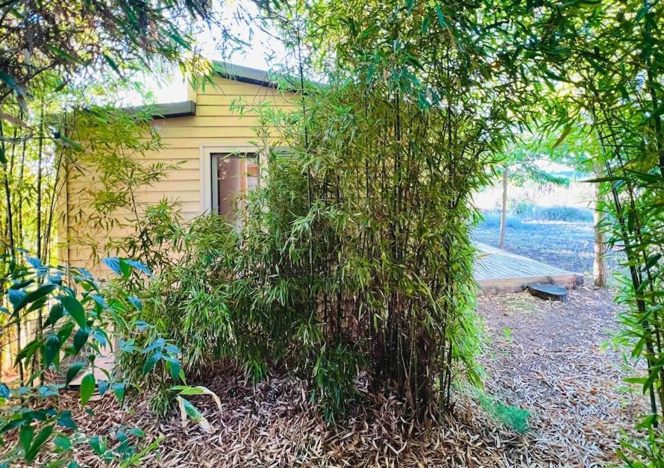 Eco Tiny Home & Office For Digital Nomads Vallmoll Exterior foto